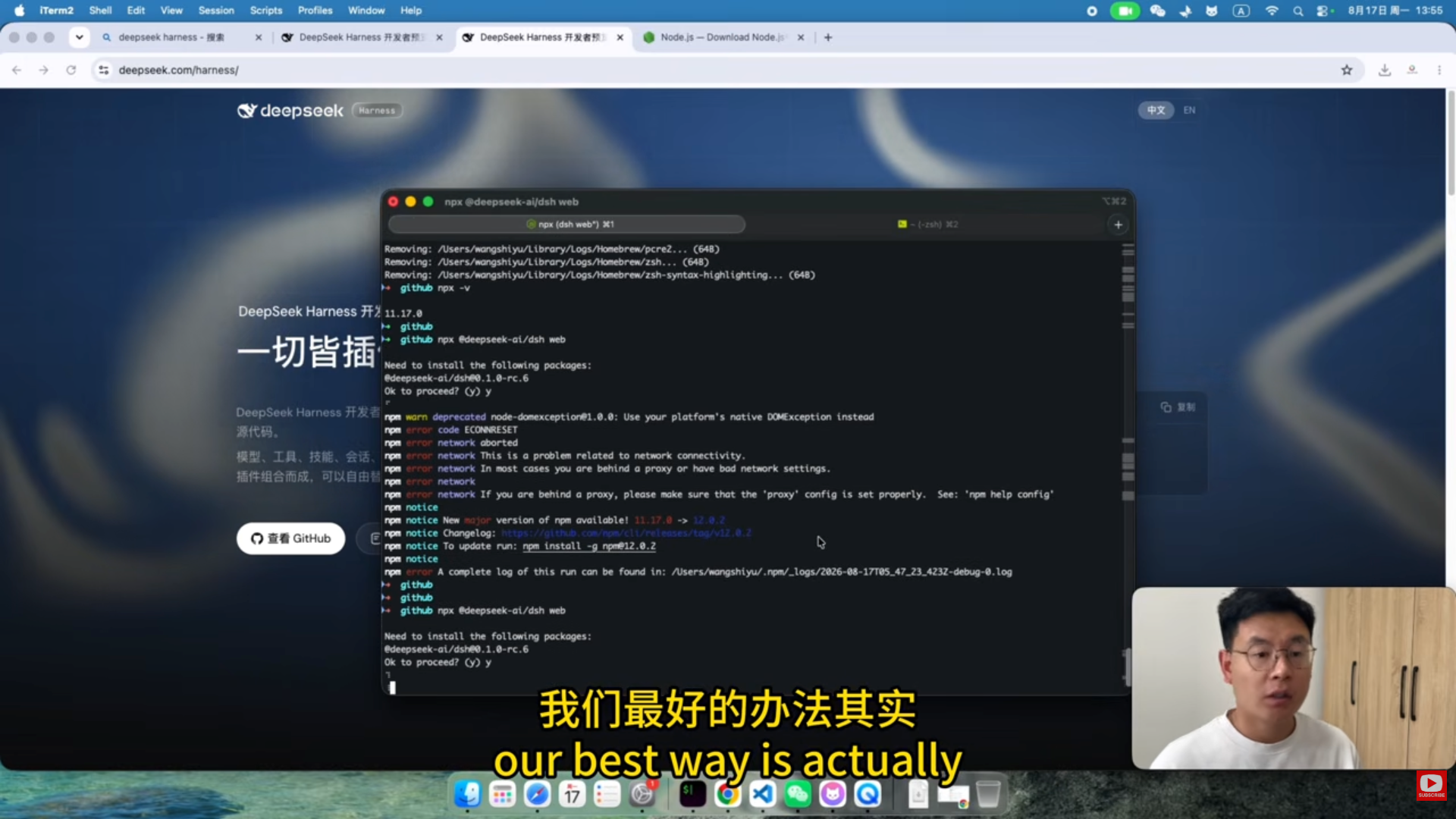 DeepSeek Harness 安装页面